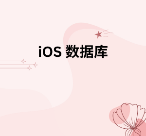 iOS 数据库