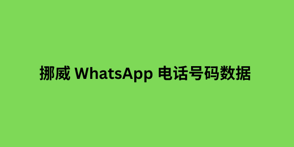 挪威 WhatsApp 电话号码数据