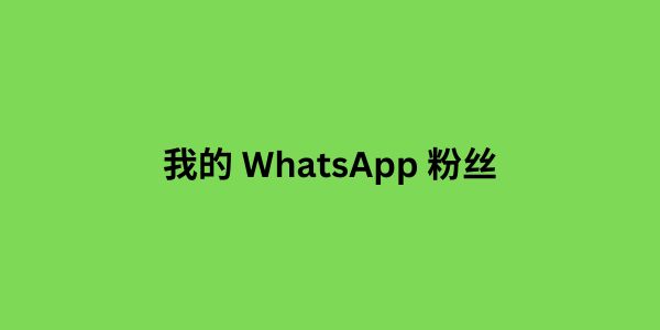 我的 WhatsApp 粉丝