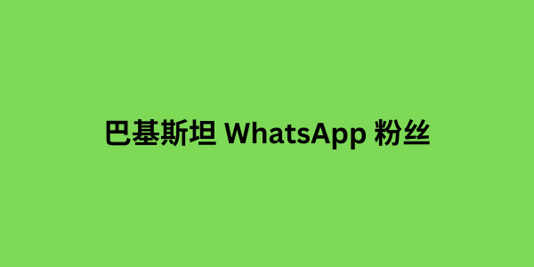 巴基斯坦 WhatsApp 粉丝