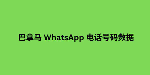 巴拿马 WhatsApp 电话号码数据