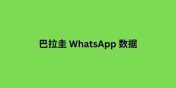 巴拿马 WhatsApp 粉丝