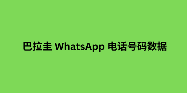 巴拉圭 WhatsApp 电话号码数据