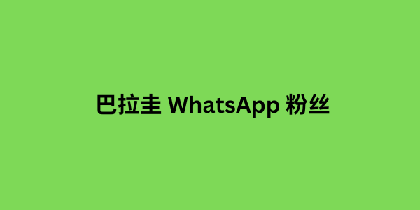 巴拉圭 WhatsApp 粉丝