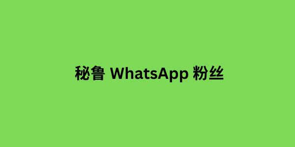 秘鲁 WhatsApp 粉丝