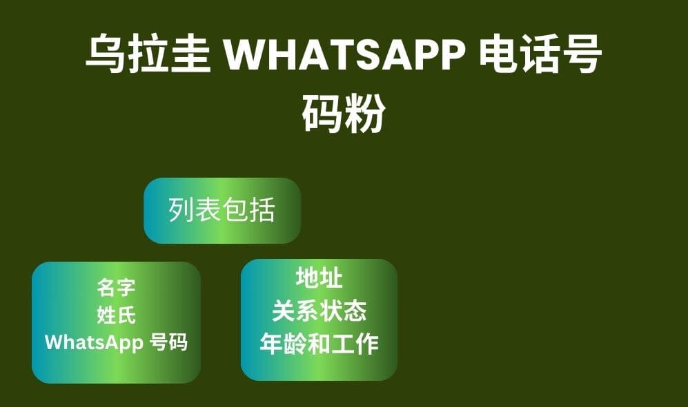 乌拉圭 Whatsapp 电话号码粉