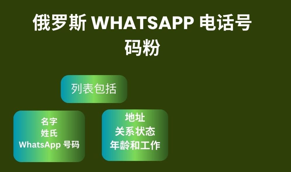 俄罗斯 Whatsapp 电话号码粉