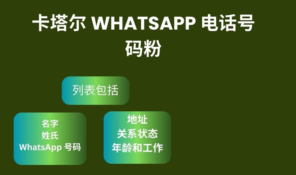 卡塔尔 Whatsapp 电话号码粉