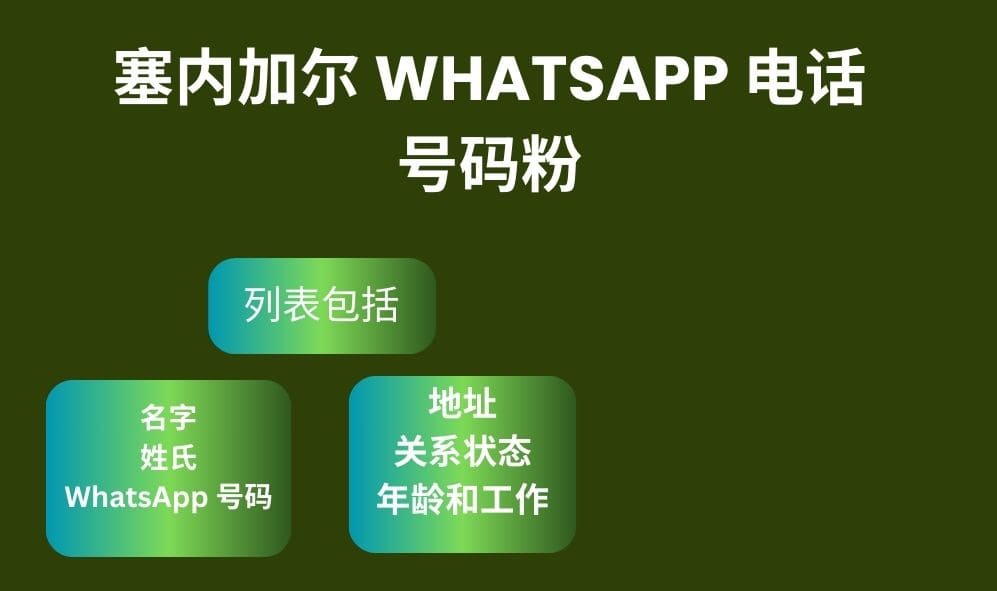 塞内加尔 Whatsapp 电话号码粉