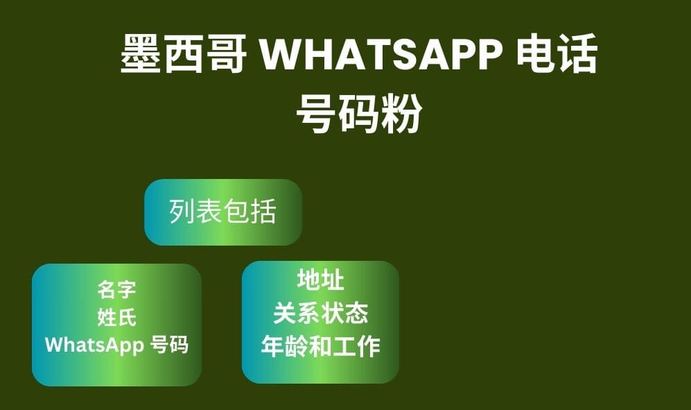 墨西哥 Whatsapp 电话号码粉