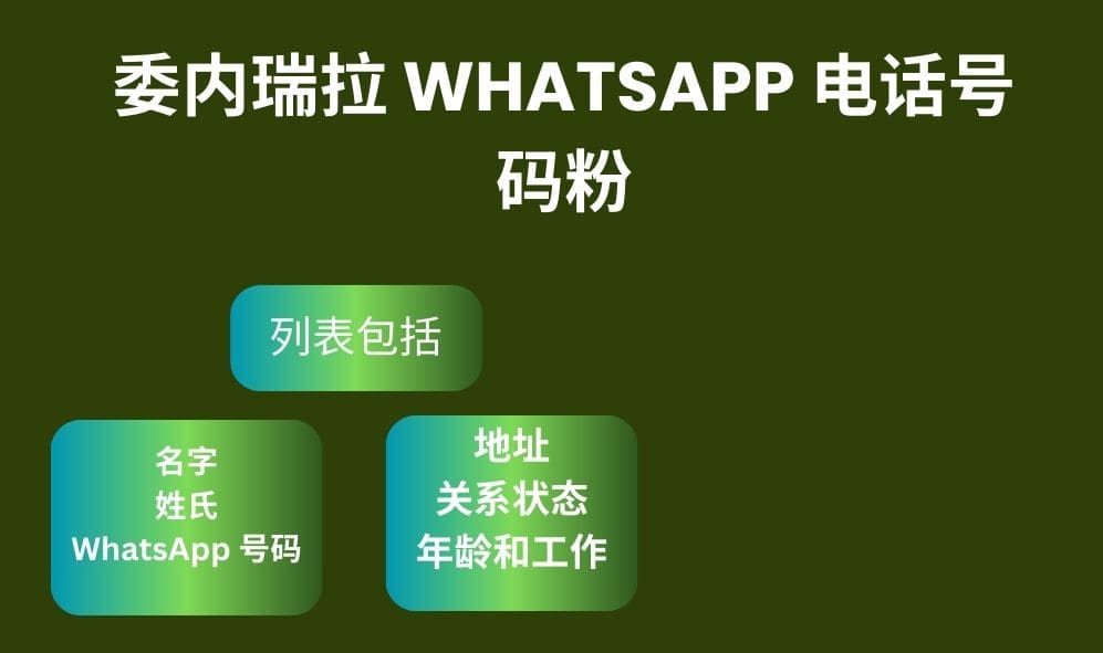 委内瑞拉 Whatsapp 电话号码粉