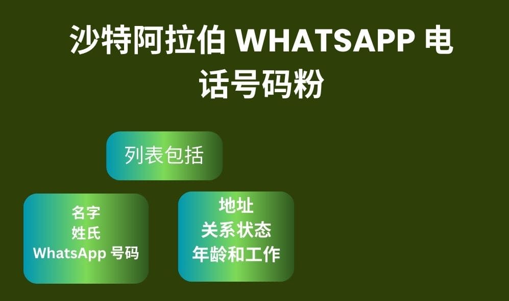 沙特阿拉伯 Whatsapp 电话号码粉