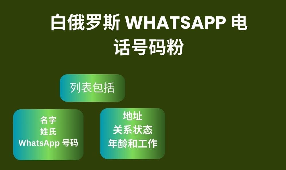 白俄罗斯 Whatsapp 电话号码粉