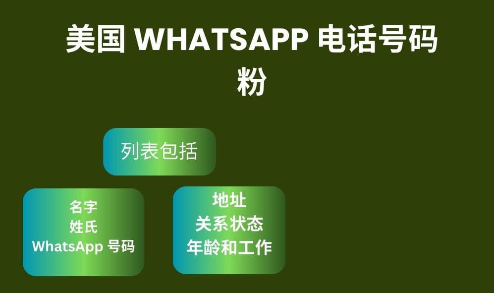 美国 Whatsapp 电话号码粉