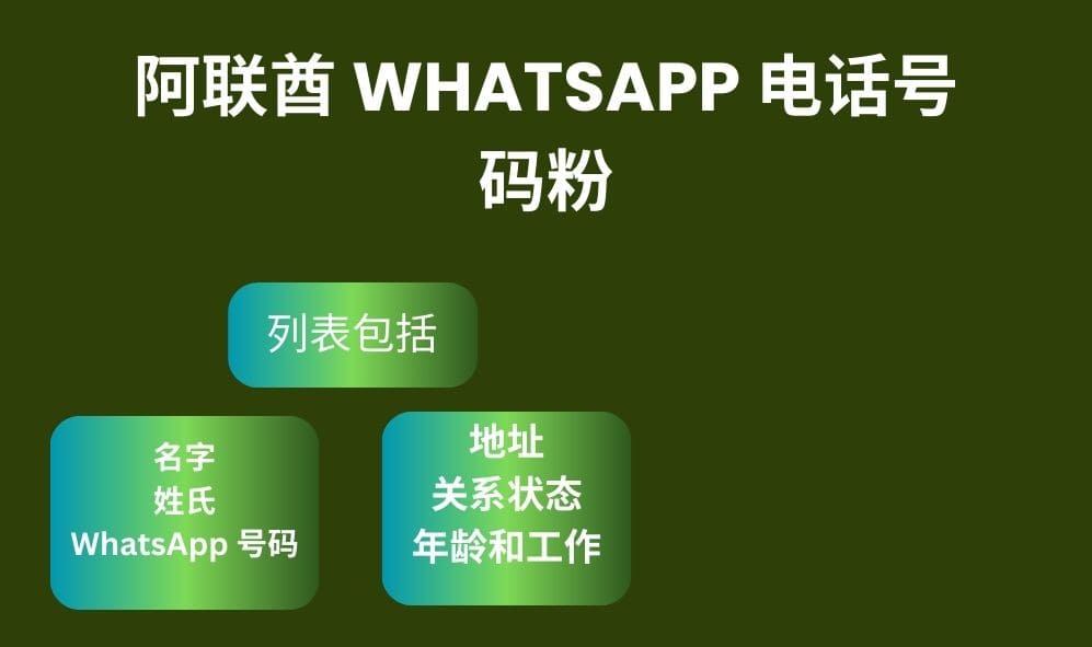 阿联酋 Whatsapp 电话号码粉