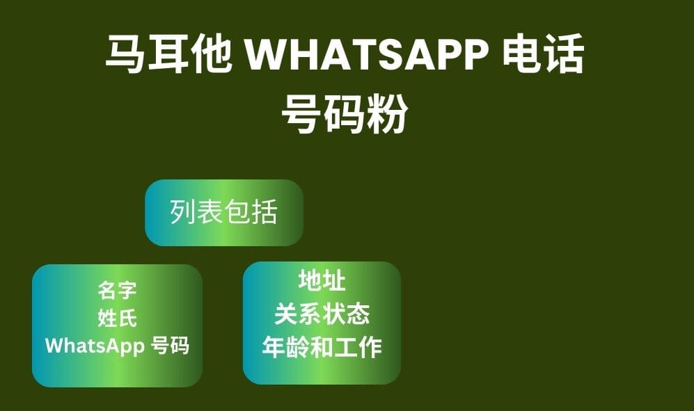 马耳他 Whatsapp 电话号码粉